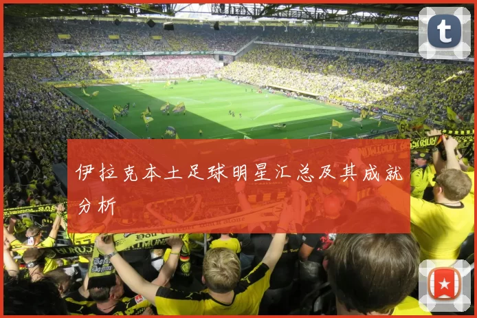 伊拉克本土足球明星汇总及其成就分析