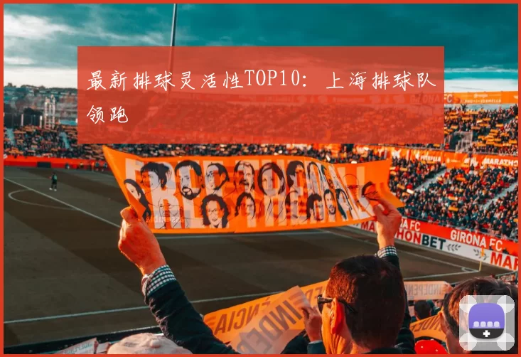 最新排球灵活性TOP10：上海排球队领跑