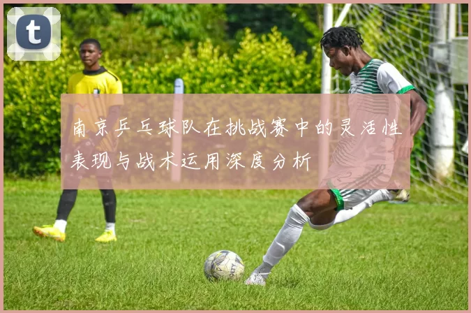 南京乒乓球队在挑战赛中的灵活性表现与战术运用深度分析