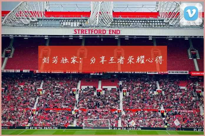 刘芳独家：分享王者荣耀心得