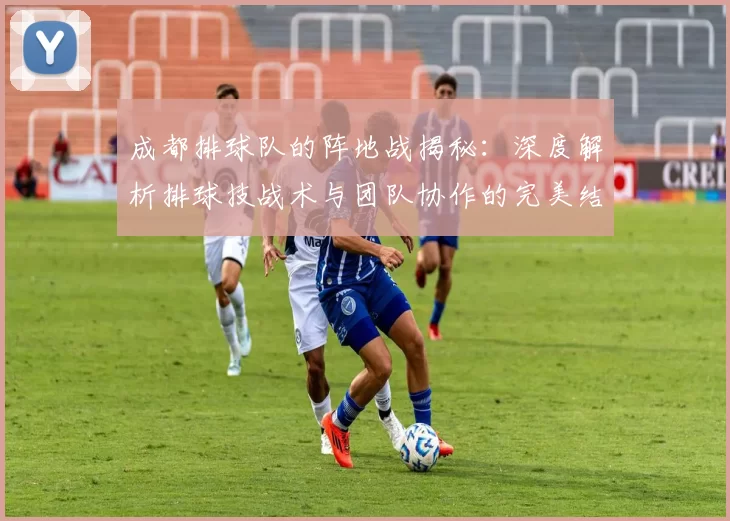 成都排球队的阵地战揭秘：深度解析排球技战术与团队协作的完美结合