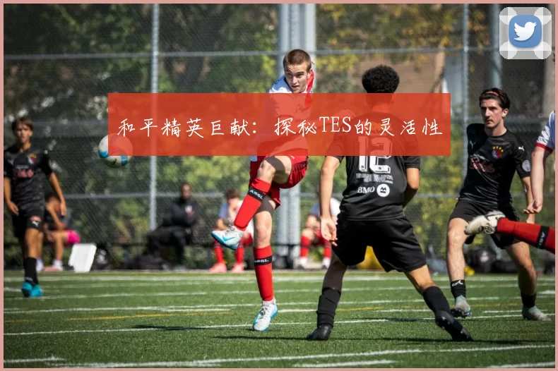 和平精英巨献：探秘TES的灵活性