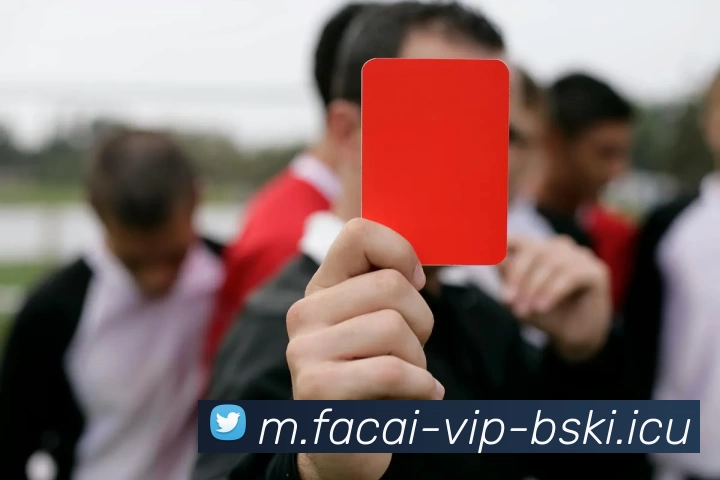 MK体育APP 高清赛事图